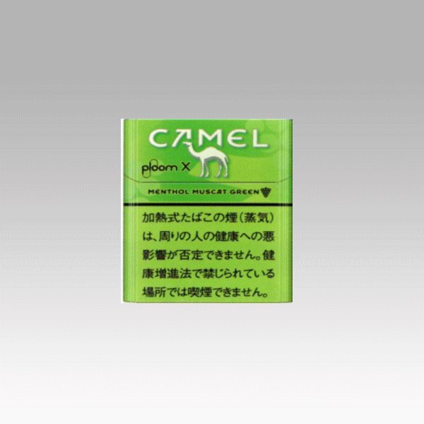 画像1: キャメル・メンソール・マスカットグリーン・プルーム・エックス (1)