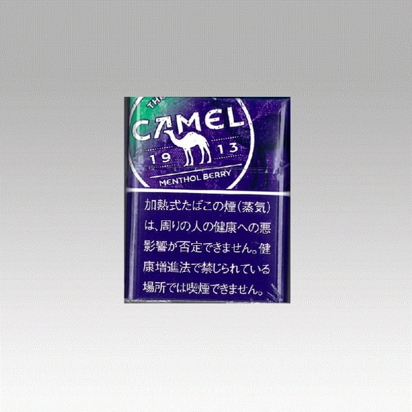 画像1: キャメル・メンソール・ベリー・プルーム用 (1)