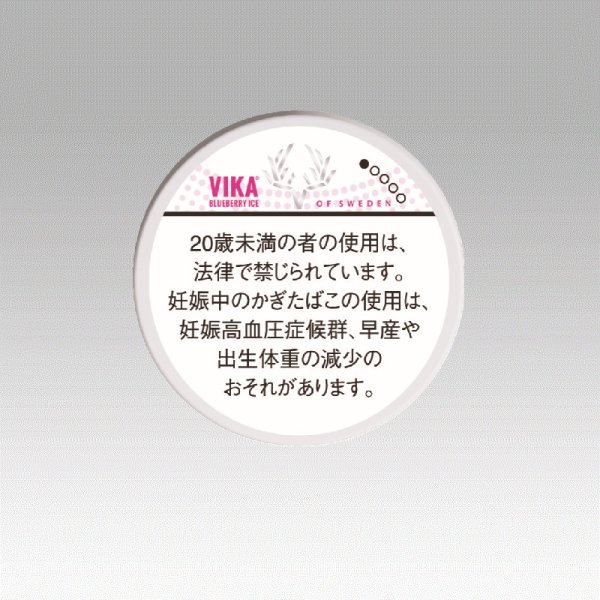 画像1: ヴィカ・スヴェンソン・ブルーベリーアイス (1)